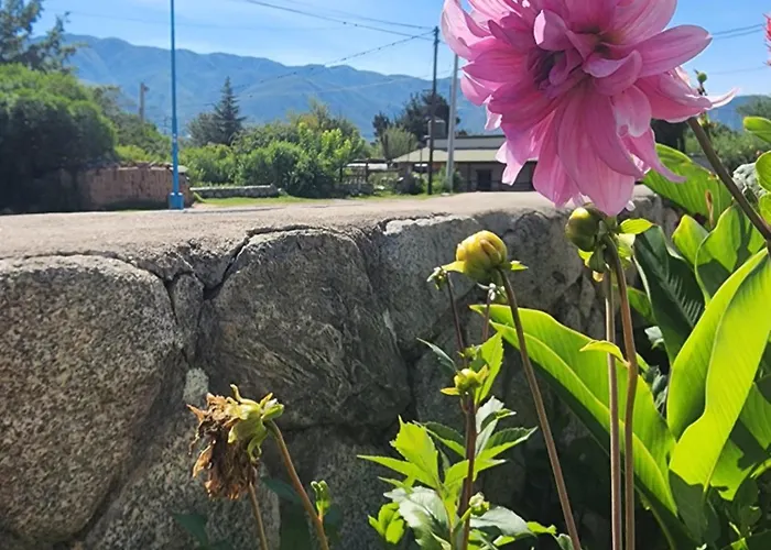 Casa Feito Tafi